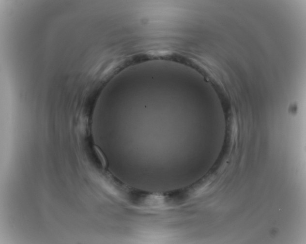 X0000092070227200709121423
