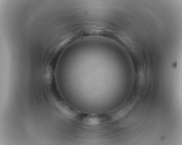 X0000092070228200709121423