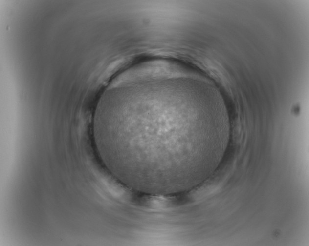 X0000092070229200709121423