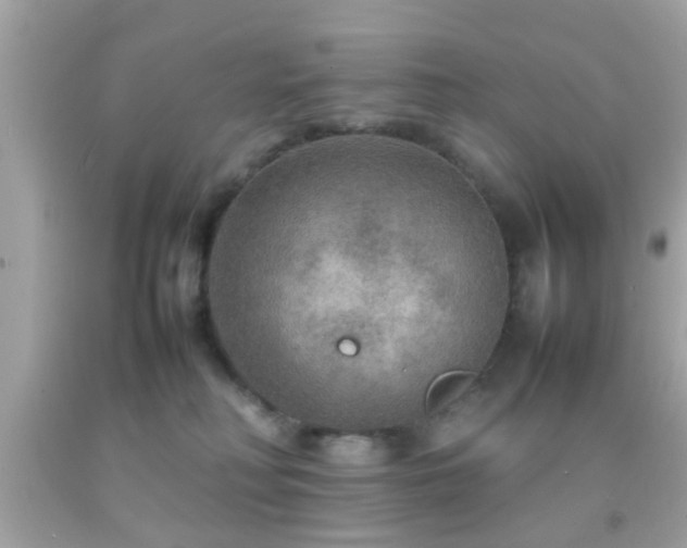 X0000092070230200709121423