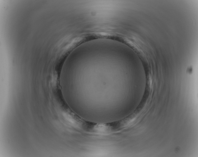 X0000092070231200709121423