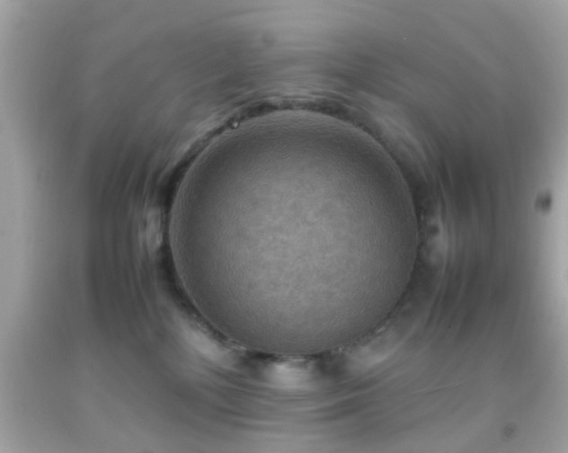 X0000092070232200709121423