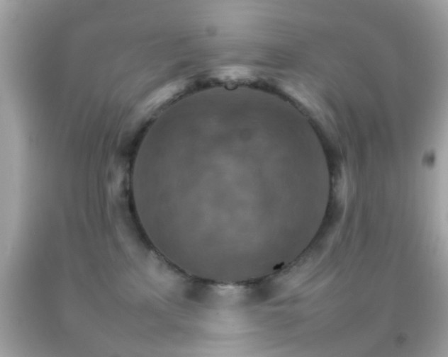 X0000092070233200709121423