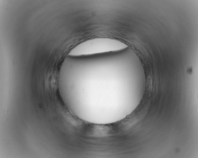 X0000092070234200709121423