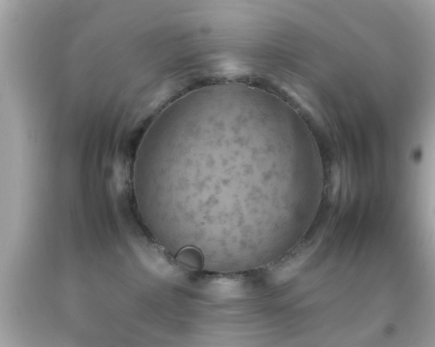 X0000092070236200709121423