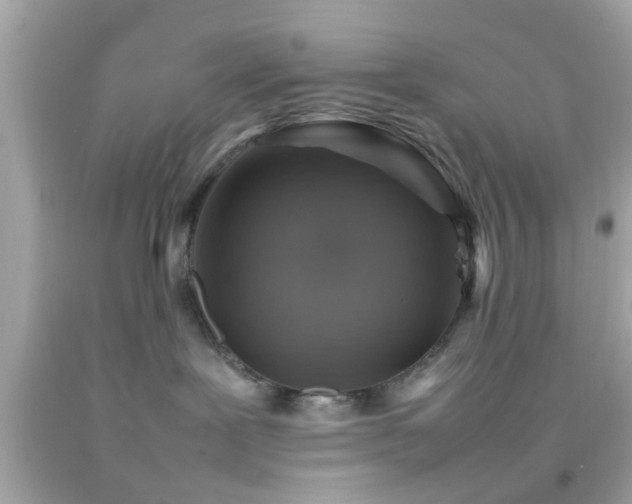 X0000092070239200709121422
