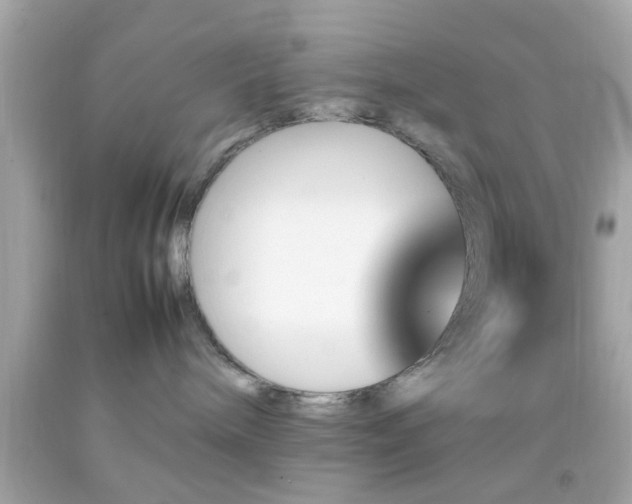 X0000092070240200709121422