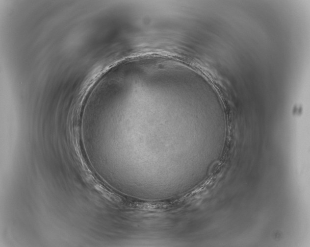 X0000092070241200709121422