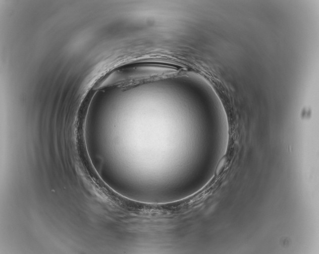 X0000092070242200709121422