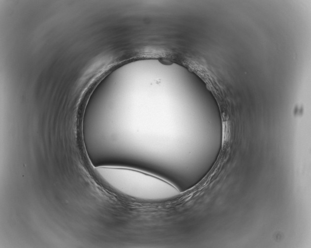 X0000092070243200709121422