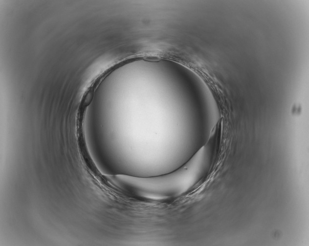 X0000092070244200709121422