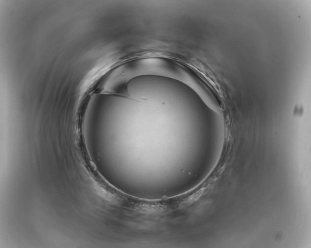 X0000092070245200709121422