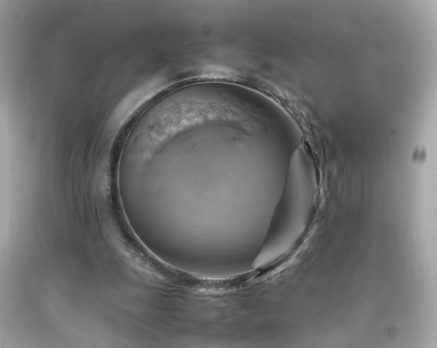 X0000092070247200709121422