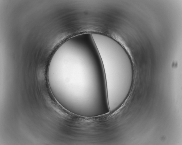 X0000092070249200709121422