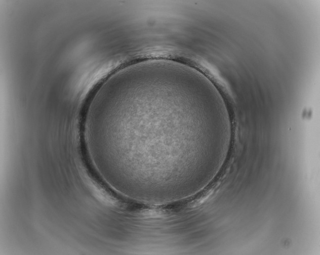 X0000092070250200709121422