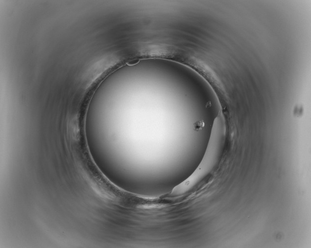 X0000092070251200709121422