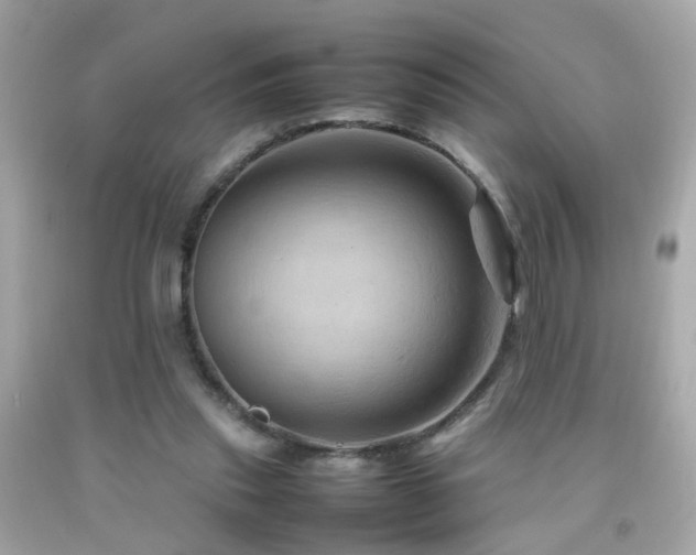 X0000092070253200709121422