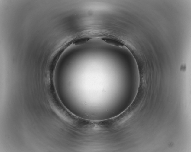 X0000092070254200709121422