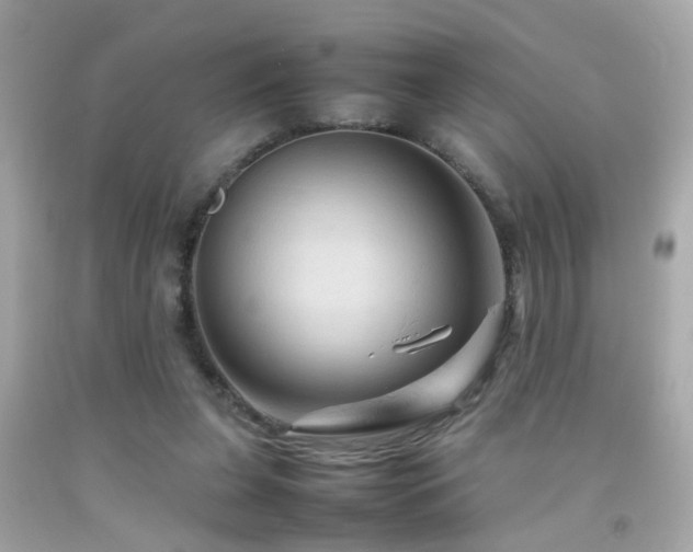 X0000092070255200709121422