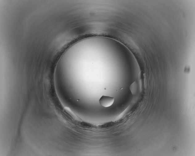 X0000092070256200709121422