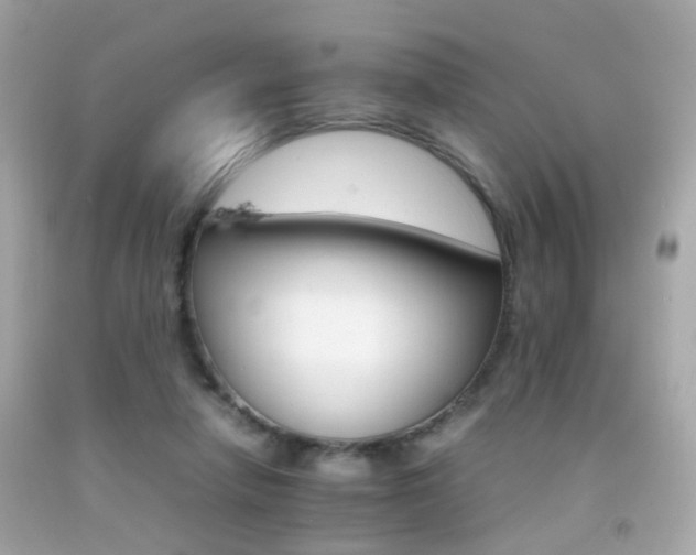 X0000092070258200709121422