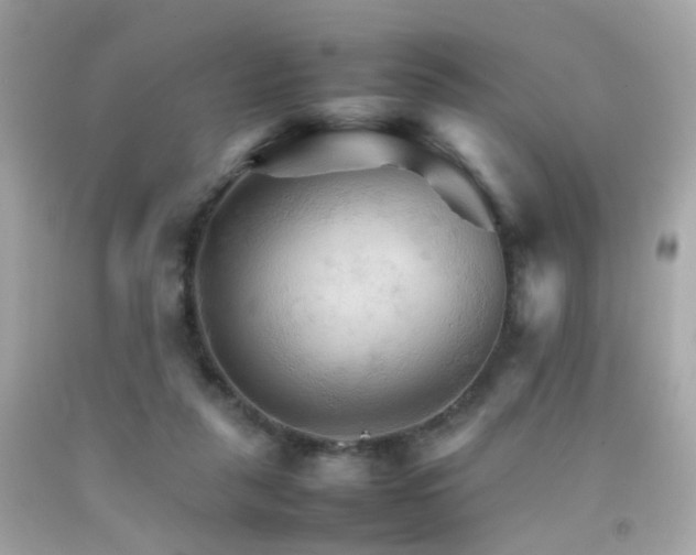 X0000092070259200709121422
