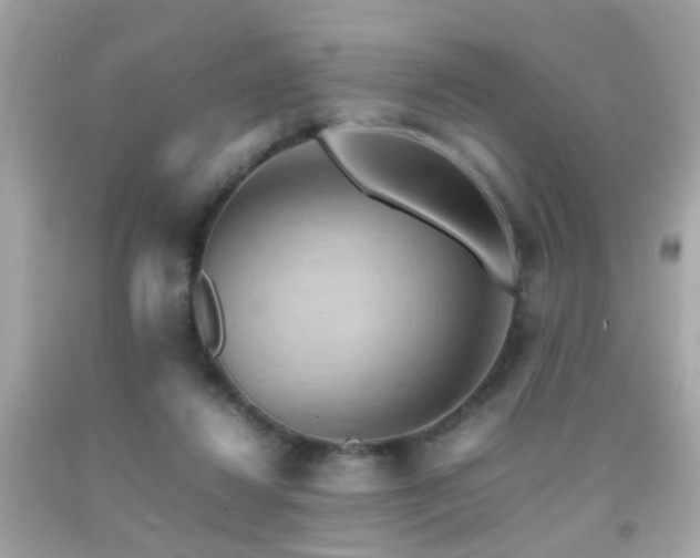 X0000092070260200709121422