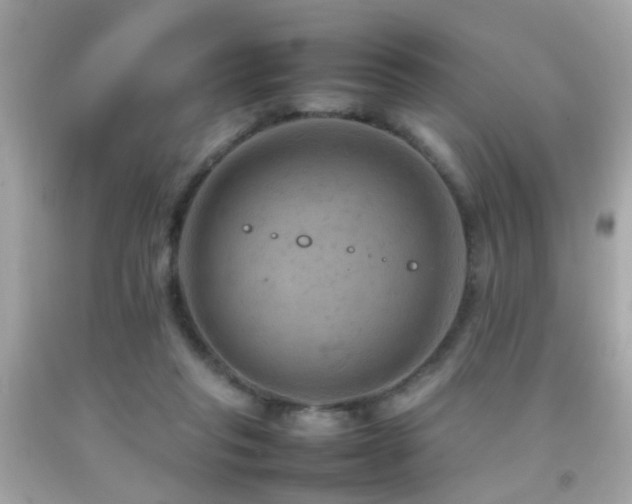 X0000092070261200709121422