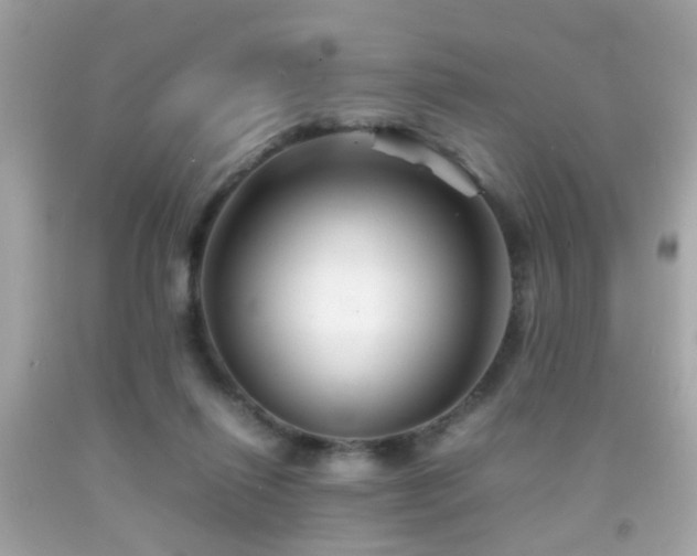 X0000092070262200709121422