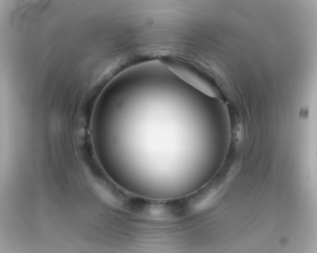 X0000092070264200709121422