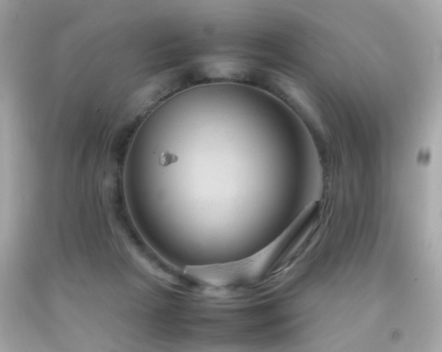 X0000092070265200709121422