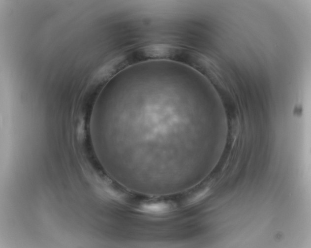 X0000092070267200709121422