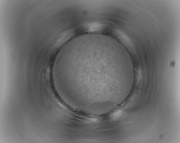 X0000092070269200709121422