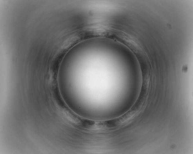 X0000092070270200709121422