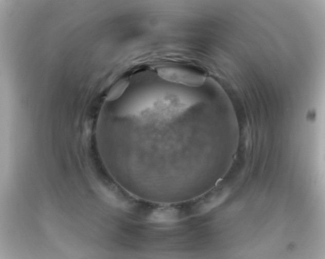 X0000092070271200709121422