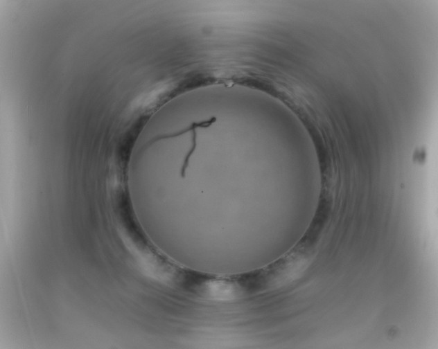 X0000092070272200709121422