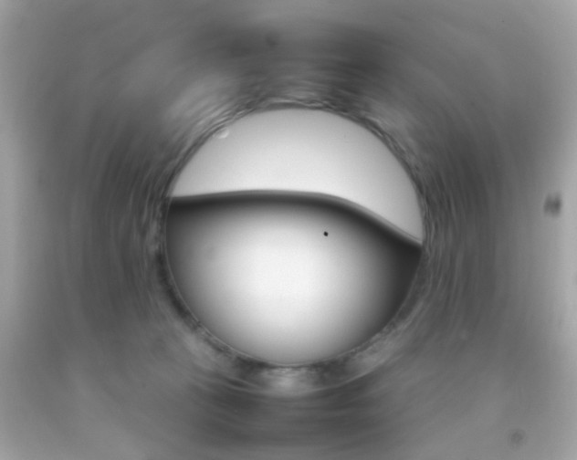 X0000092070273200709121422