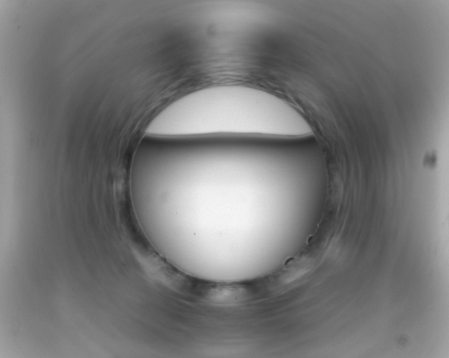X0000092070274200709121422