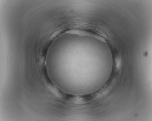 X0000092070276200709121422