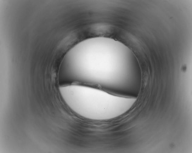 X0000092070279200709121422