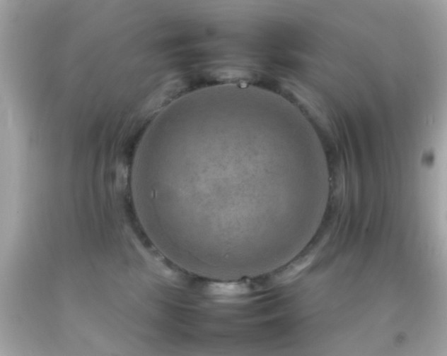 X0000092070281200709121422