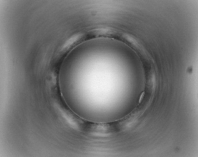X0000092070282200709121422