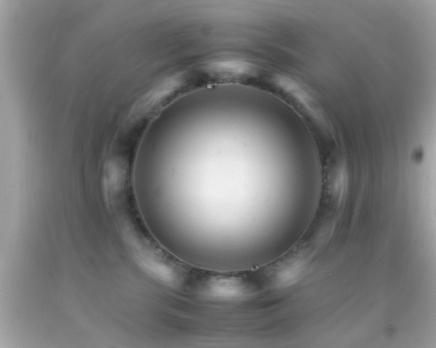 X0000092070283200709121422