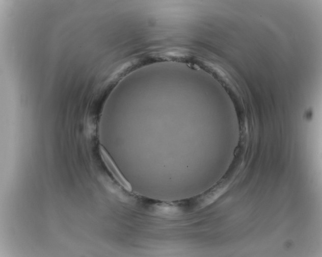 X0000092070284200709121422