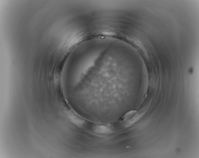X0000092070285200709121422