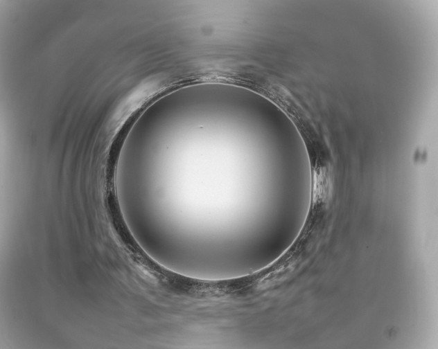 X0000092070291200709121422