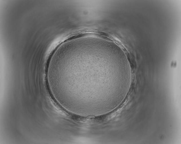 X0000092070293200709121422