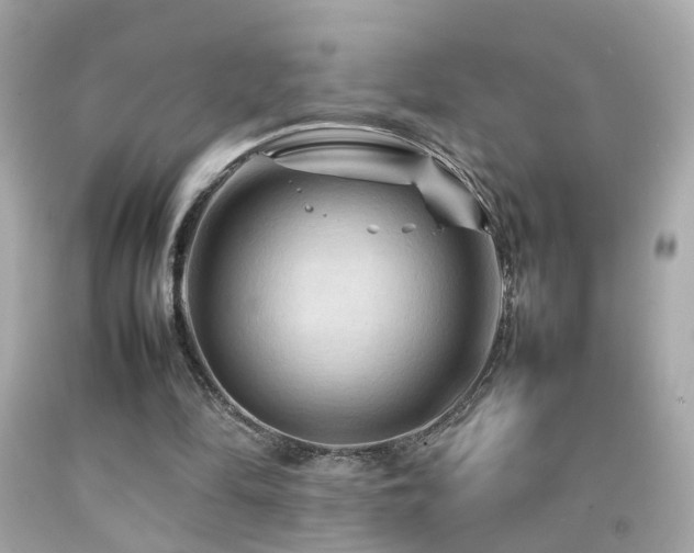 X0000092070294200709121422