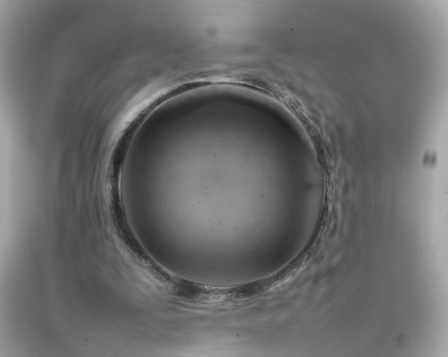 X0000092070295200709121422