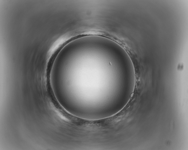 X0000092070296200709121422